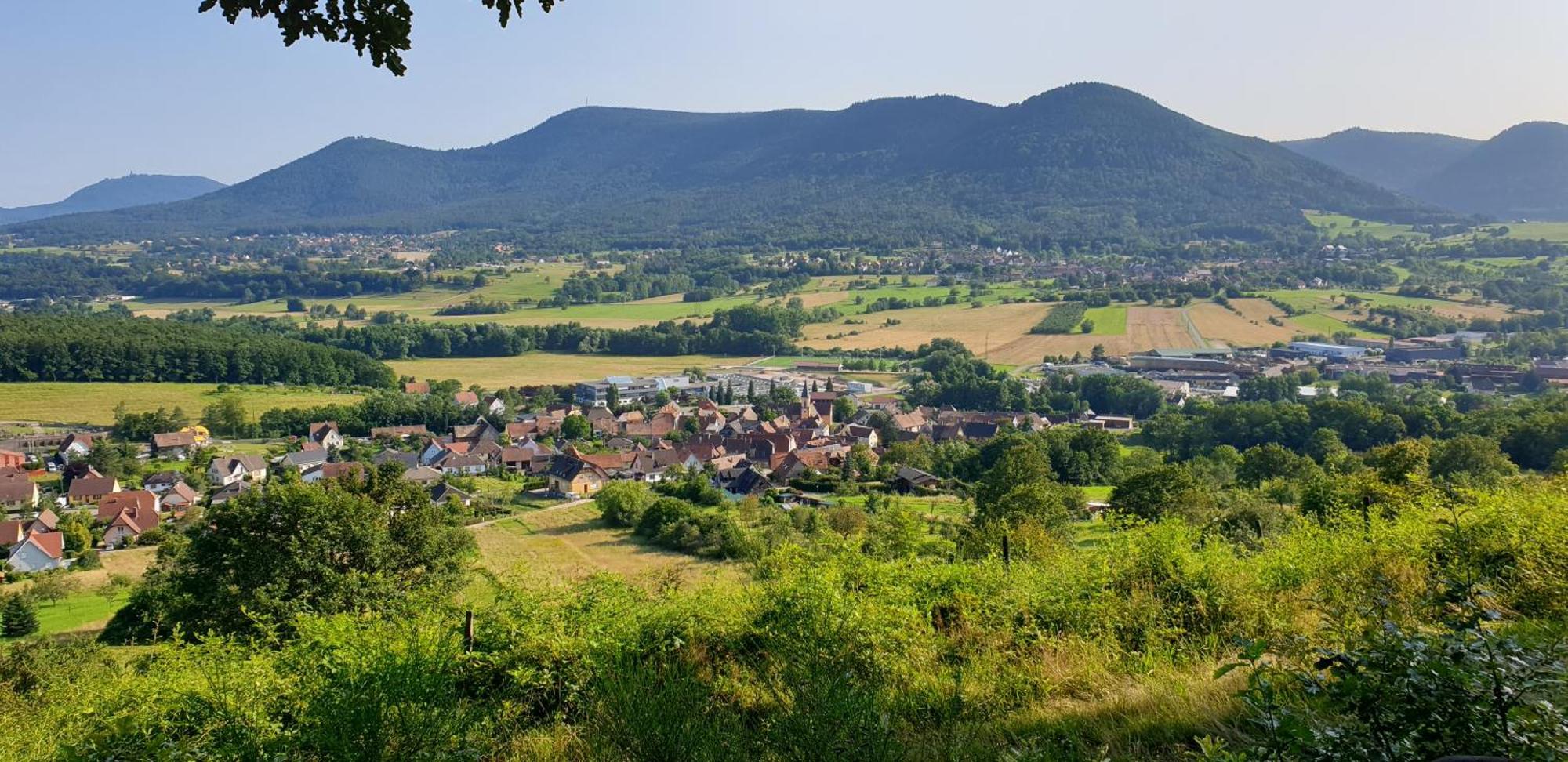 Reverie Du Val Triembach-au-Val ภายนอก รูปภาพ